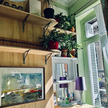 My Clean House * Bordéus